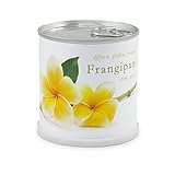 MacFlowers® Frangipani | Anzuchtset als besonderes Geschenk | Öffnen Gießen Freuen | Dankeschön Yoga Tempelbaum Yogabaum yellow