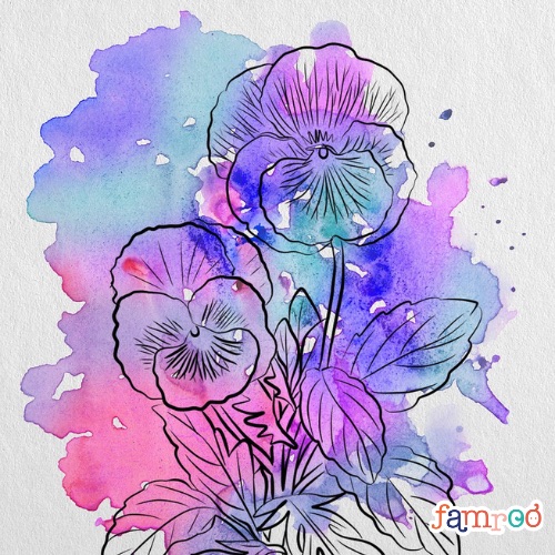 Geburtsblume Februar